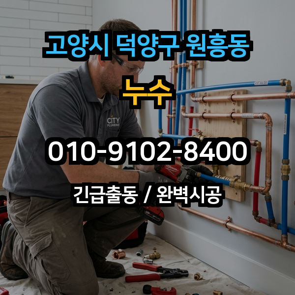 대표이미지 1
