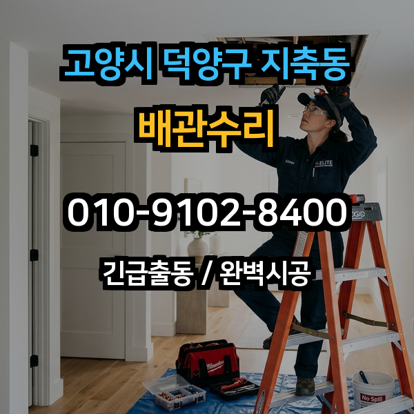 대표이미지 1