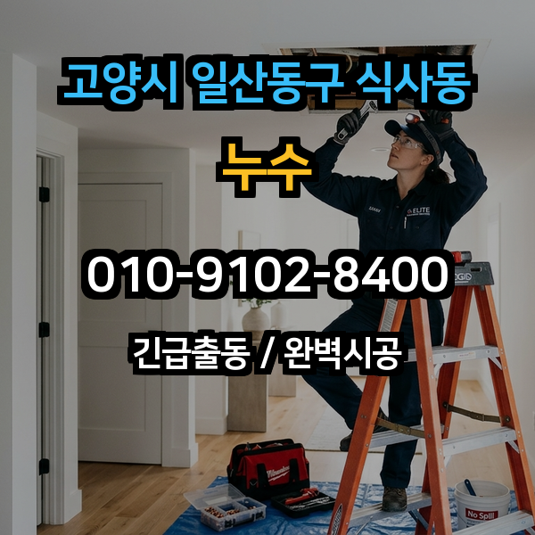 대표이미지 1