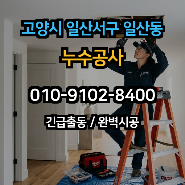 대표이미지 1