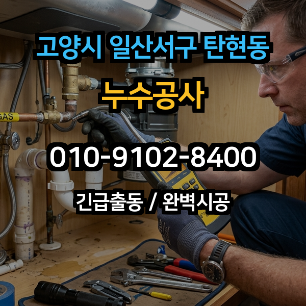 대표이미지 1