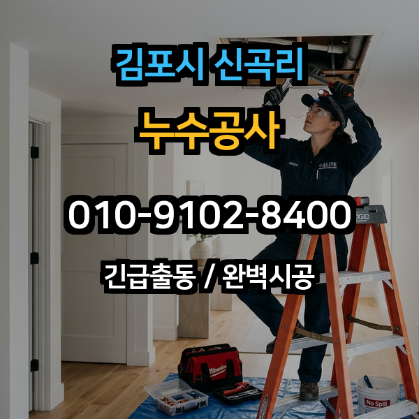대표이미지 1