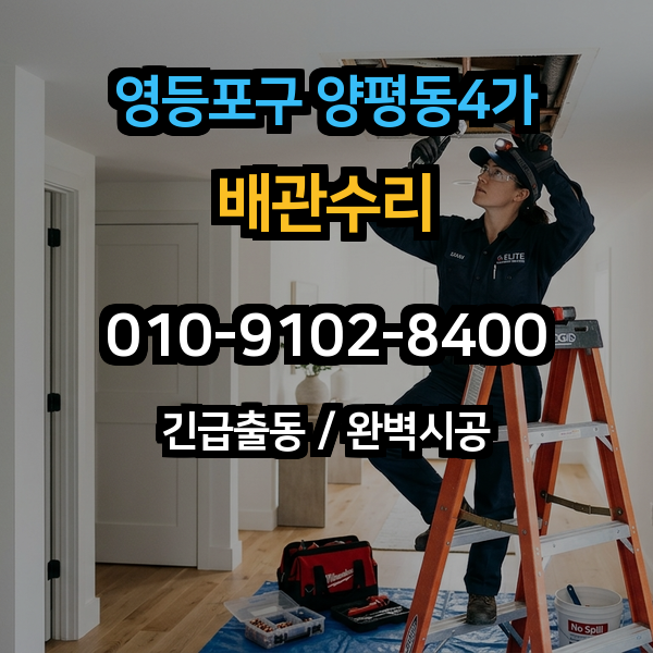 대표이미지 1
