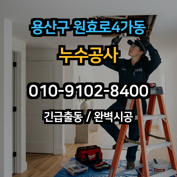 대표이미지 1